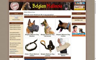 Belgian Malinois