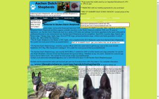 Aachen Dutch Shepherds