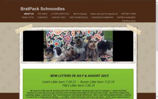 Brat Pack Schnauzers and Schnoodles