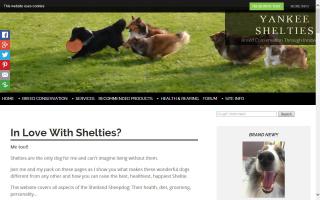 Yankee Shelties