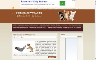 Chihuahua Puppy Training