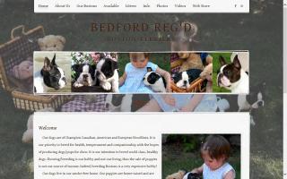 Bedford Reg'd Boston Terriers