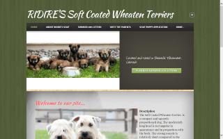 RIDIRE'S Soft Coated Wheaten Terriers