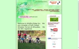 Wildfire Ridge - Whoodles, Wheaten Terriers